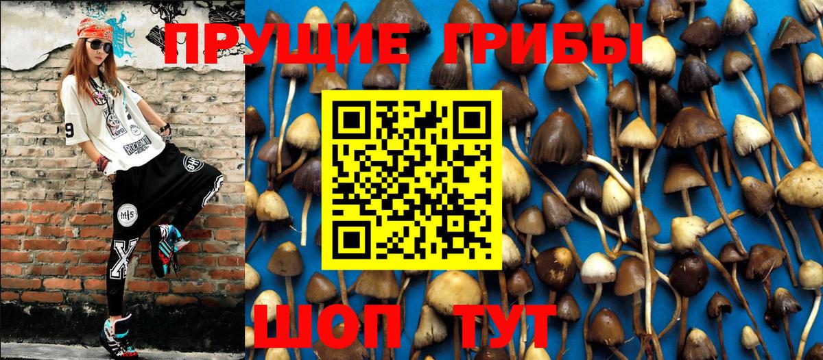 магазин    Галлюциногенные грибы Magic Shrooms  Псилоцибиновые грибы Cubensis  Вход с VPN  Ставрополь 