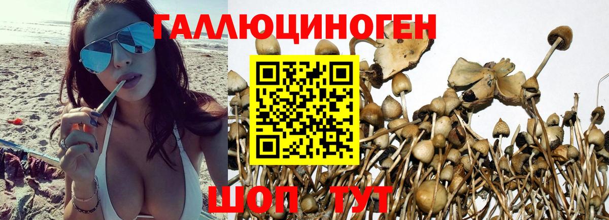 Галлюциногенные грибы Magic Shrooms Ставрополь